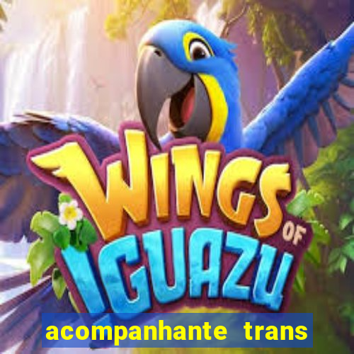 acompanhante trans de santos